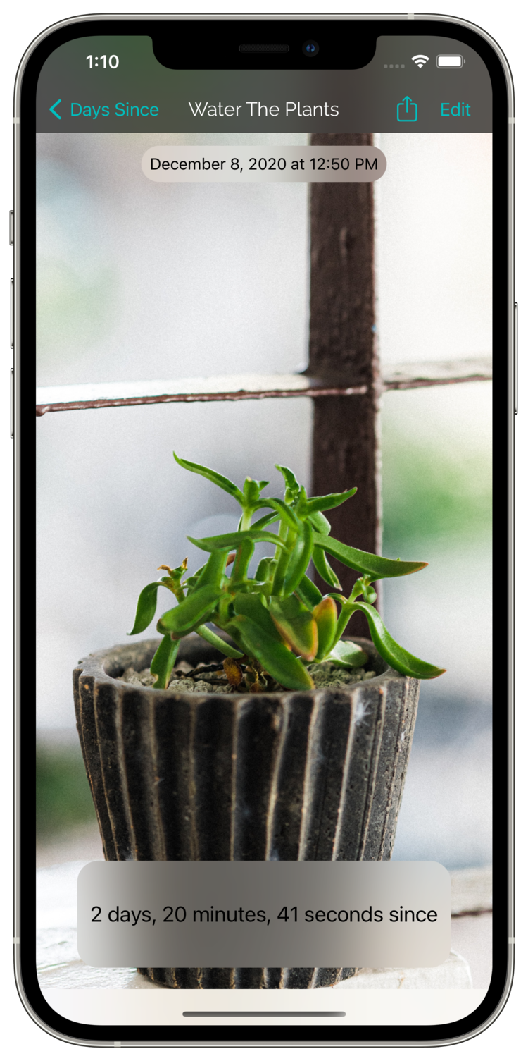 Plant countdown in Days Since version 6