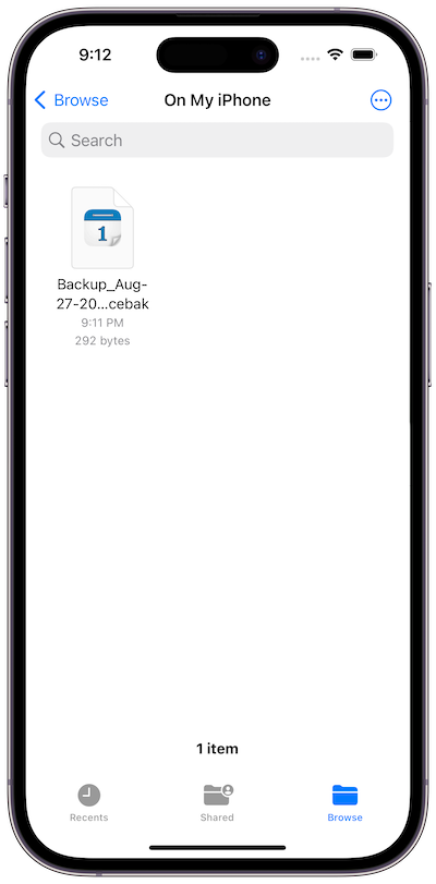 A Days Since backup file in the iOS Files app